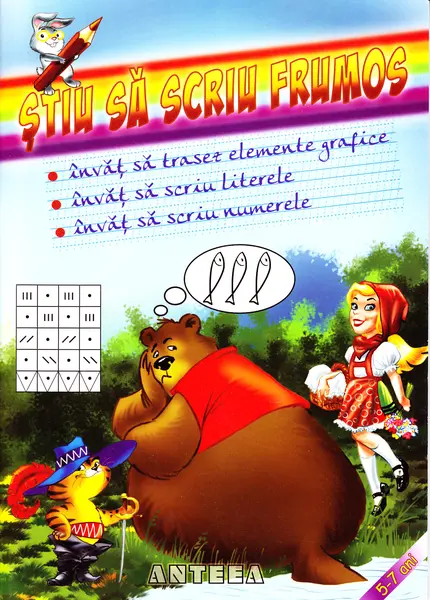 Stiu sa scriu frumos | Anisoara Dan
