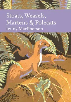 Stoats, Weasels, Martens and Polecats, Hardback/Jenny MacPherson