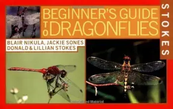 Stokes Beginner's Guide to Dragonflies, Paperback/Blair Nikula