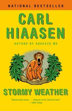 Stormy Weather - Carl Hiaasen