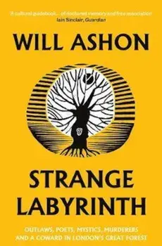 Strange Labyrinth, Paperback/Will Ashon
