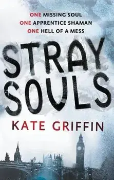 Stray Souls, Paperback/Kate Griffin