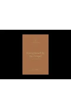 Strengthened by the Gospel: A Theology of Romans - Brian S. Rosner