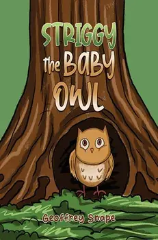 Striggy the Baby Owl, Paperback/Geoffrey Snape