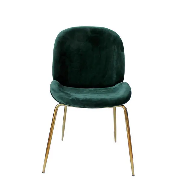 Stuhl Charlize Grün din metal, plastic, verde, alămiu