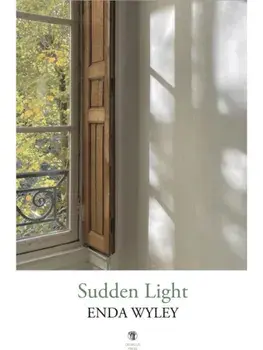 Sudden Light, Paperback/Enda Wyley