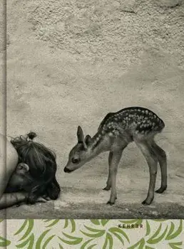 Summer of the Fawn, Hardcover/Alain Laboile