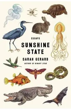 Sunshine State: Essays - Sarah Gerard