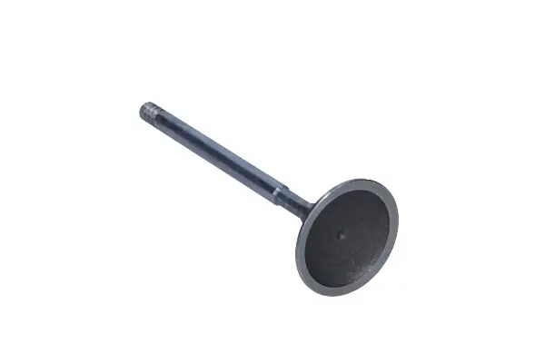 Supapa admisie FRECCIA R6002/SCR
