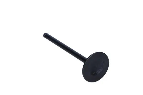 Supapa admisie FRECCIA R6070/SNT