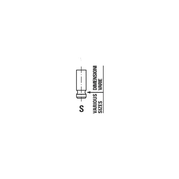 Supapa admisie FRECCIA R6645/SNT