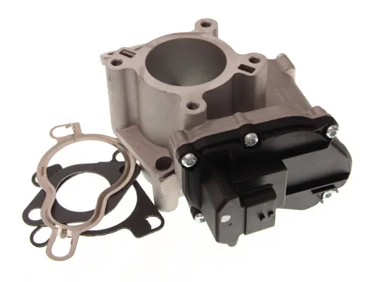 Supapa EGR NRF 48663