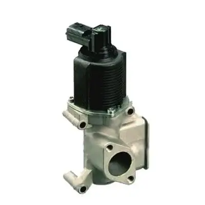 Supapa EGR potrivit FIAT DOBLO, DOBLO MINIVAN, PALIO, PUNTO, STRADA 1.9D 09.99-