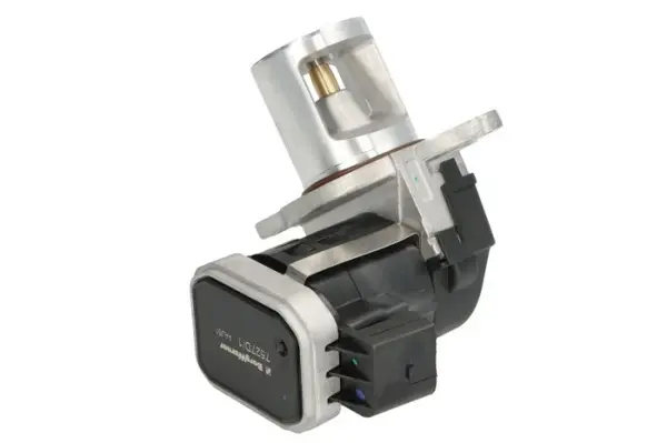 Supapa EGR potrivit MERCEDES C T-MODEL (S203), C T-MODEL (S204), C (W203), C (W204), CLK (A209), CLK (C209), CLS (C219), E T-MODEL (S211), E (VF211), E (W211), GL (X164), GLK (X204) 3.0D 01.05-06.15