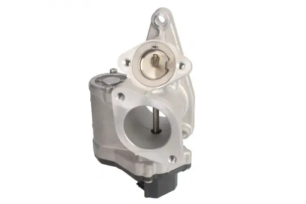 Supapa EGR potrivit RENAULT GRAND SCENIC II, LAGUNA II, MEGANE II, MEGANE II KOMBI, SCENIC II; SUZUKI GRAND VITARA II 1.9D 11.02-