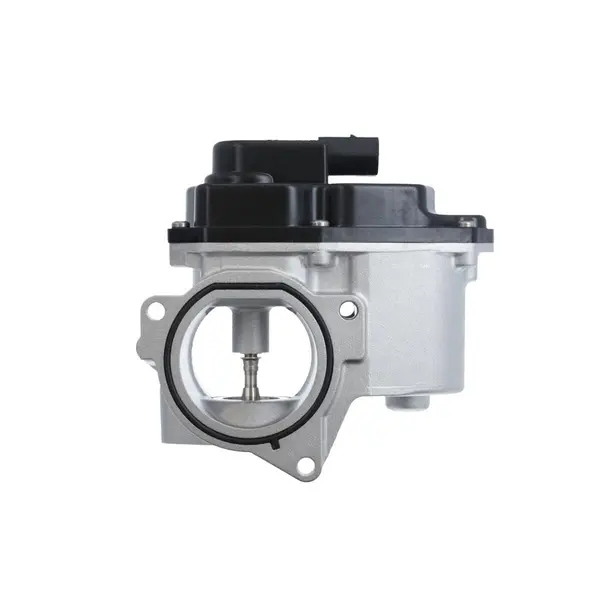 Supapa EGR VALEO 700424