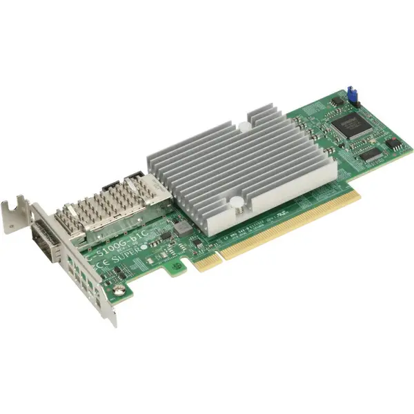 SUPERMICRO Supermicro AOC-S100G-M2C-O placi/adaptoare de interfata