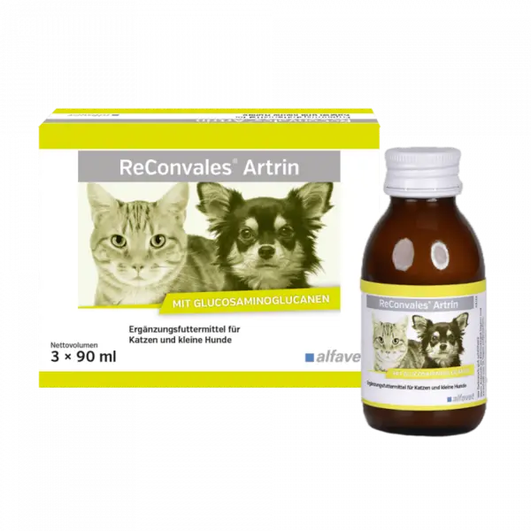 Supliment care sustine metabolismul articular in osteoartrita, caini si pisici, Reconvales ARTRIN, Alfavet, 90 ml