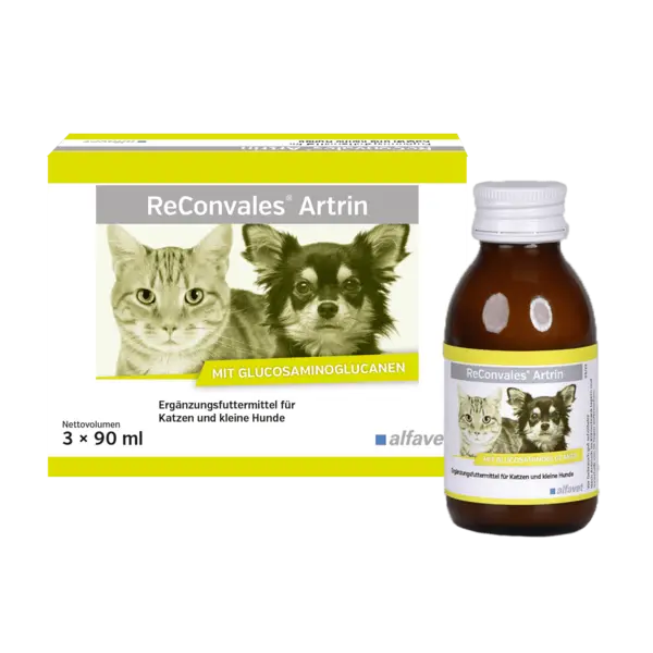 Supliment care susține metabolismul articular în osteoartrita, caini si pisici, Reconvales ARTRIN, Alfavet, 90 ml
