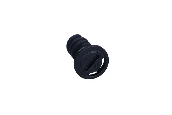 surub de golire,baia de ulei FA1 257.881.001