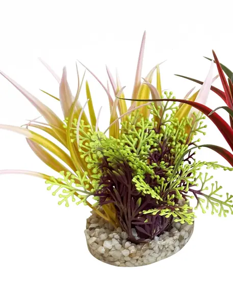 Sydeco Planta Aqua Bouquet 9 cm 385004