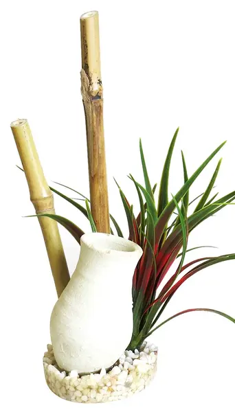 Sydeco Planta Japanese Garden 22 cm 380485