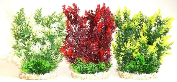 Sydeco Plante Hedge 25cm 708