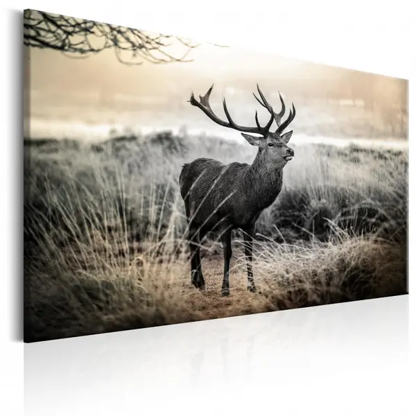 Tablou - Dangerous Horns 90x60 cm