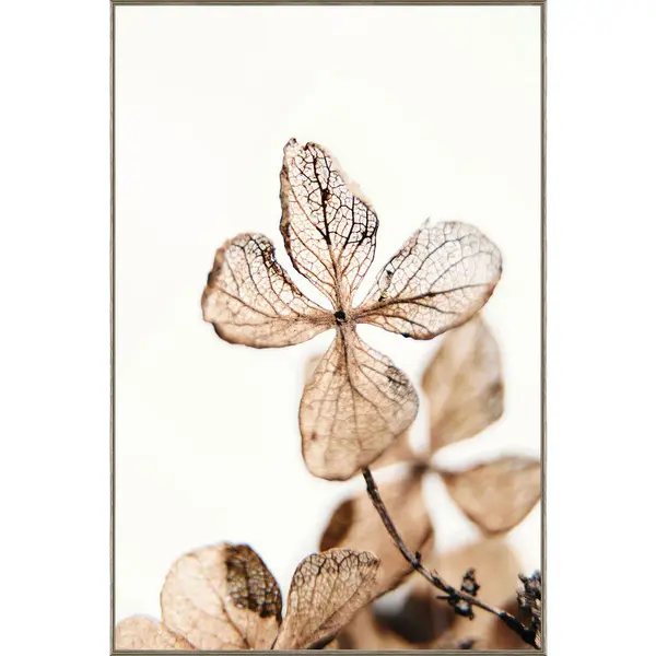 Tablou Pe Sticlă 80/120 cm