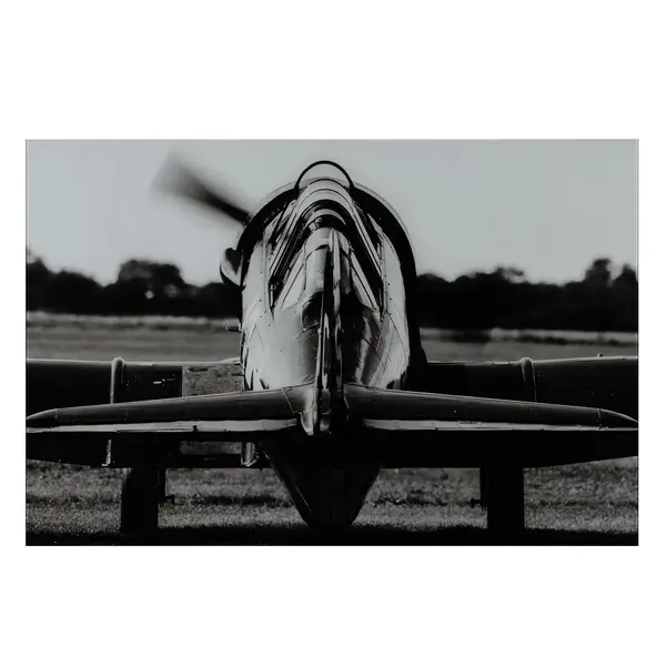 Tablou REIDAR PLANE 120 x 80 CM - Default Title