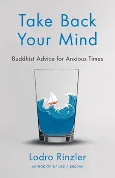 Take Back Your Mind: Buddhist Advice for Anxious Times: Buddhist Advice for Anxious Times, Paperback/Lodro Rinzler