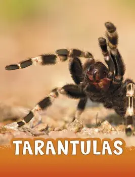Tarantulas, Paperback/Jaclyn Jaycox