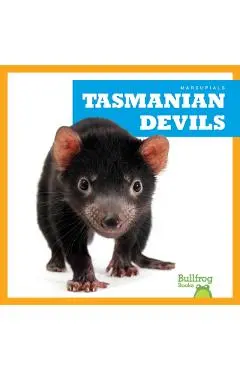 Tasmanian Devils - Natalie Deniston
