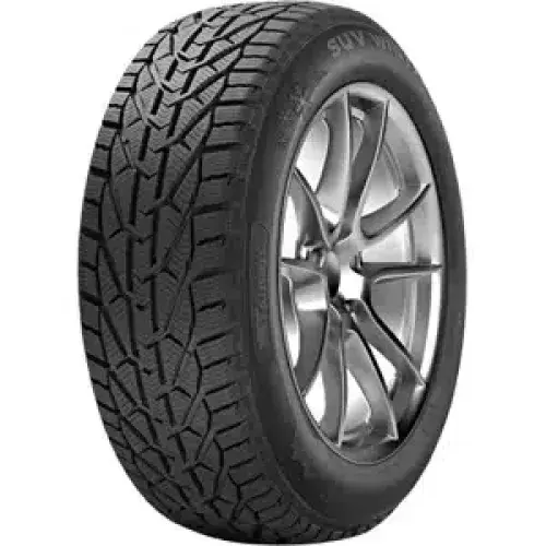TAURUS WINTER 195/65R15 95T