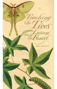 Teaching the Trees: Lessons from the Forest - Joan Maloof