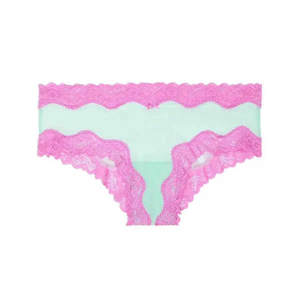 Tease mesh lace-trim cheeky panty - waterfall & new peony L