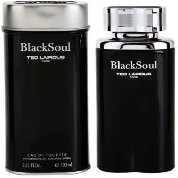 Ted Lapidus Black Soul Eau de Toilette pentru bărbați
