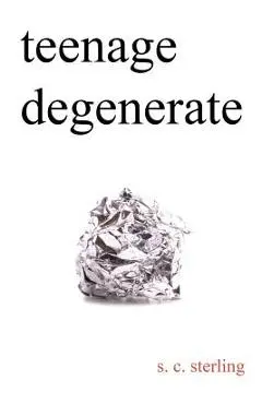 Teenage Degenerate: A Memoir that Explores the Depths of Methamphetamine and Drug Addiction - S. C. Sterling