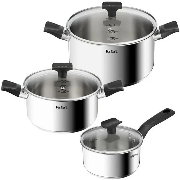 Tefal Set 6 piese Tefal Delicious, inductie, cratita de 16 cm, oala de 20/24 cm, 3 capace de sticla, manere ergonomice, interior gradat, inox premium, argintiu