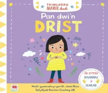 Teimladau Mawr Bach: Pan Dwi'n Drist, Hardback/Campbell Books