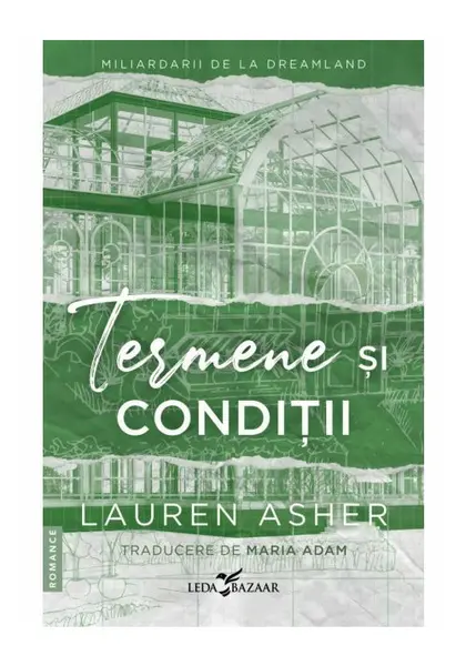 Termene si conditii