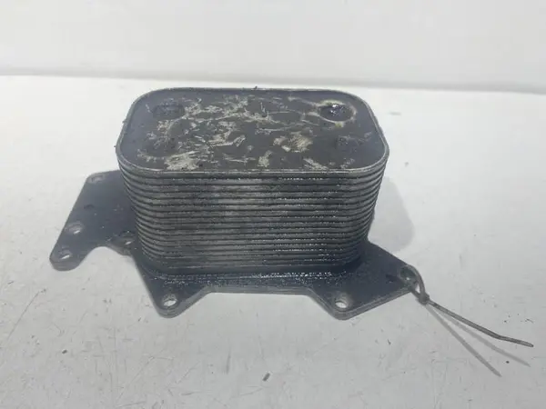 Termoflot 059117021h Audi A4 (2004-2008) [8EC, B7] 3.0 tdi bmk