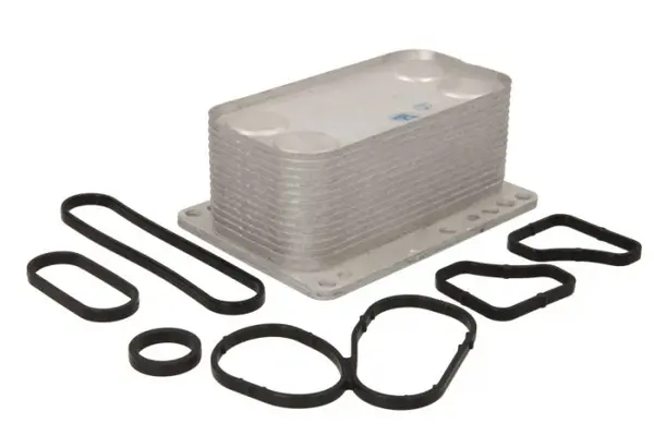 Termoflot radiator ulei (69x58x139, cu garnitura) NISSAN PRIMASTAR, QASHQAI I, X-TRAIL; OPEL VIVARO A; RENAULT ESPACE IV, GRAND SCENIC II, GRAND SCENIC III, KOLEOS I, LAGUNA, LAGUNA II, LAGUNA III 2.0