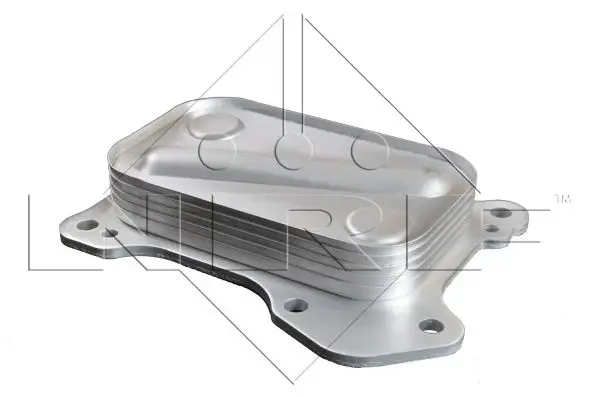 Termoflot radiator ulei (70x24x114) FIAT 500, 500 C, DOBLO, DOBLO CARGO, FIORINO, GRANDE PUNTO, IDEA, PALIO, PANDA, PUNTO, PUNTO EVO, QUBO; LANCIA MUSA, YPSILON; OPEL AGILA, COMBO, COMBO TOUR, CORSA C
