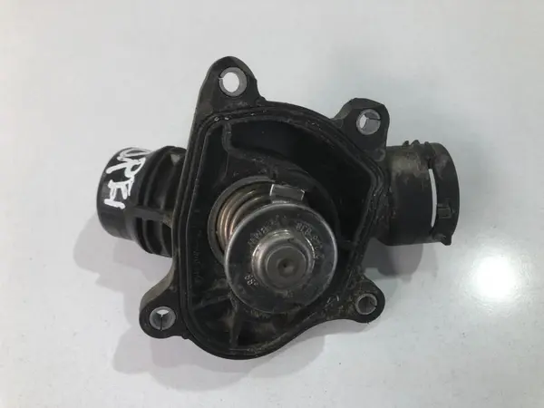 Termostat 2248038 BMW X5 (2007-2013) [E70] 3.0d 3.0 tdv6