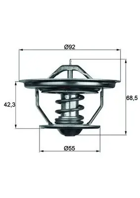 Termostat lichid racire (75 C, fara garnitura) potrivit SCANIA 2, 3, 3 BUS, 4 DC11.01-DTC11.02 05.80-