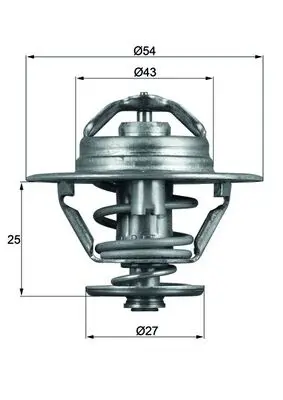Termostat lichid racire (79 C) potrivit IVECO DAILY I, DAILY II, DAILY III, ZETA; RVI MASCOTT, MESSENGER; ALFA ROMEO AR 6, AR 8, GTV; FIAT 131, 132, ARGENTA, CROMA, DUCATO 1.9D-3.7D 03.78-