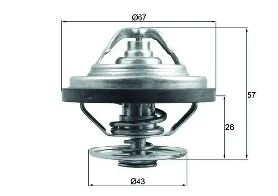 Termostat lichid racire (87 C, cu garnitura) potrivit MAN HOCL, LION S CITY, NG, TGA, TGM II, TGS I, TGS II, TGX I, TGX II; FAP A; NEOPLAN CITYLINER II, TOURLINER I D2066LF01-D2676LFAE 12.00-