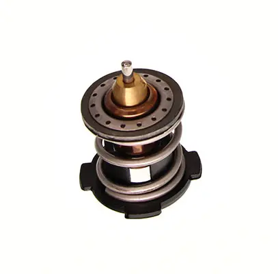 Termostat, lichid racire CALORSTAT by Vernet TH7274.80