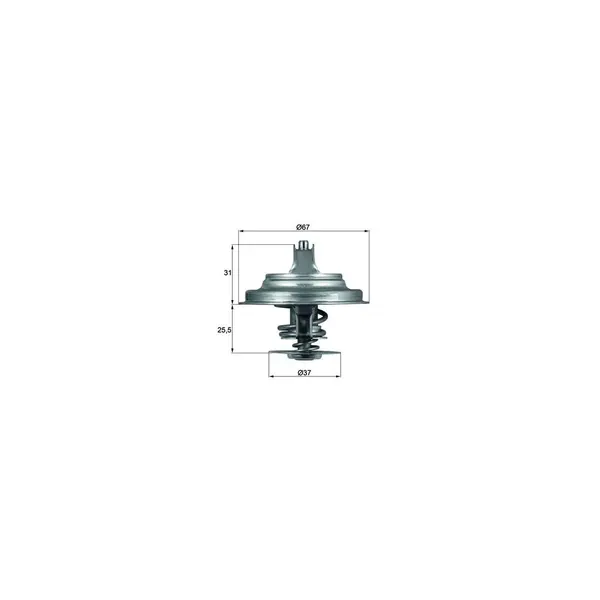 Termostat, lichid racire MAHLE TX 25 87D